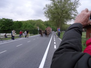 8 et 9 mai - Plugstreet